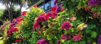 海景托菲諾汽車旅館