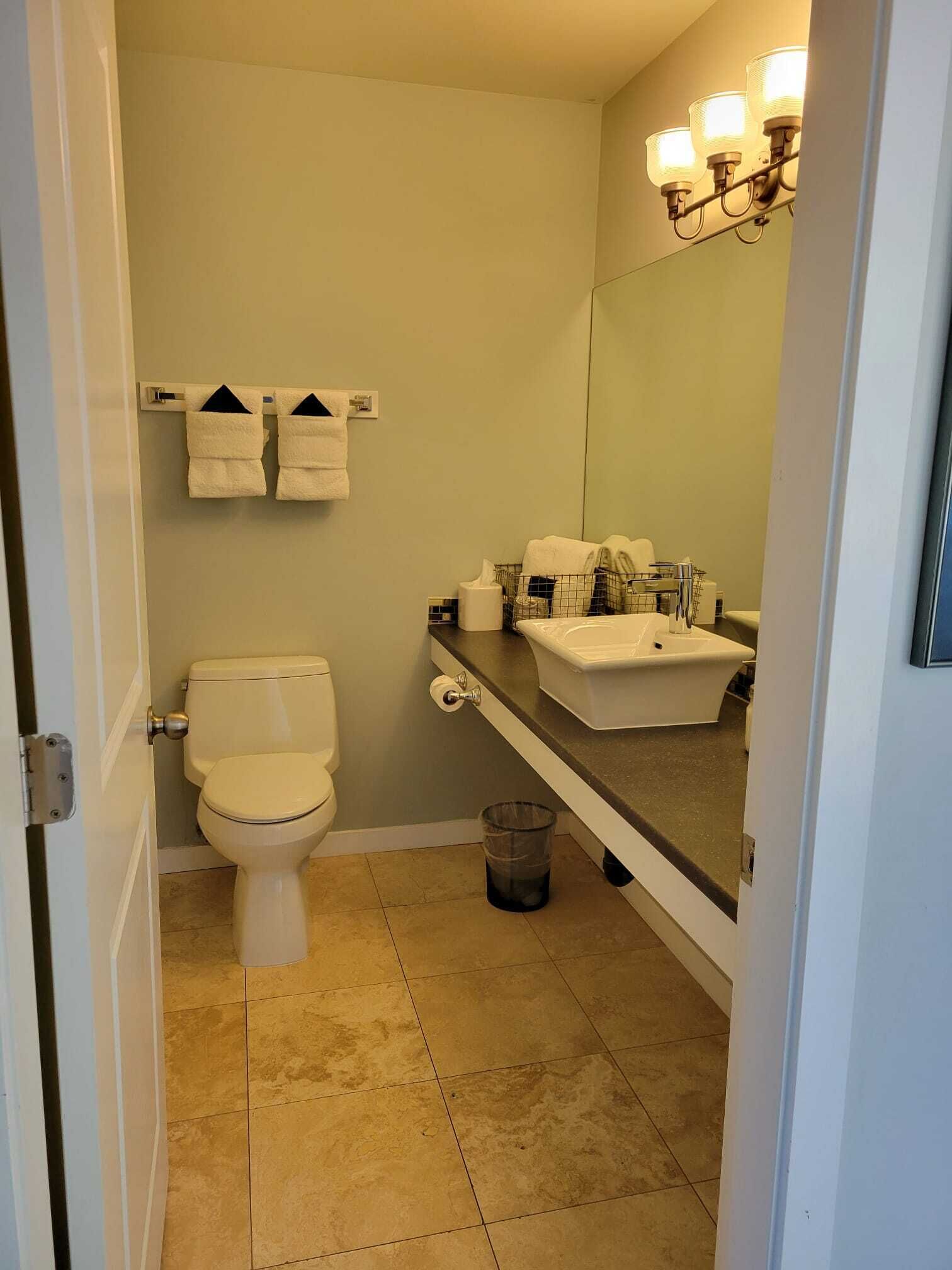 Een badkamer met toilet, wastafel en spiegel. Handdoeken hangen aan een rek, er is een prullenbak en een lamp boven de spiegel.