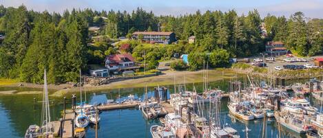 A marina with numerous boats docked, surrounded by lush greenery and residential buildings.