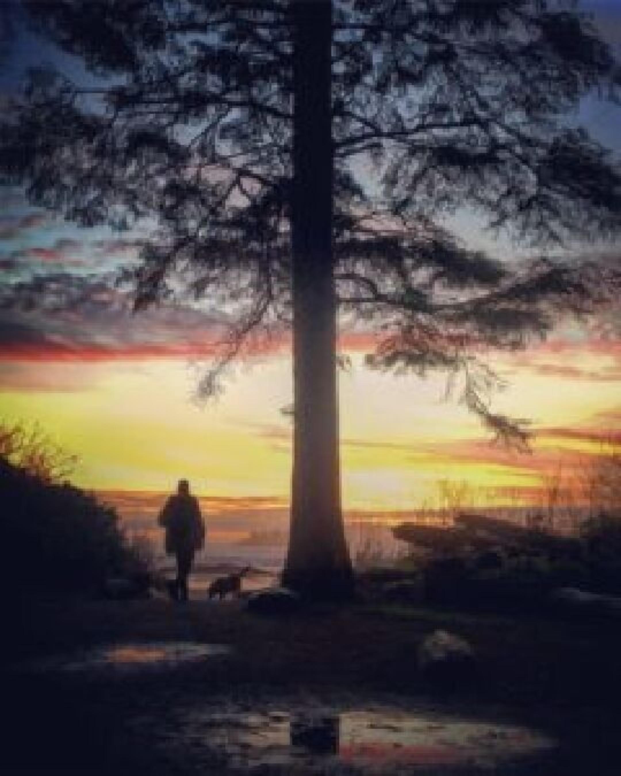 Iemand loopt met een hond in de buurt van een grote boom tijdens de zonsondergang.