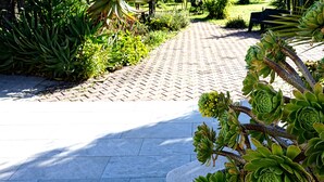 Un sendero pavimentado en un parque con diversas plantas verdes y árboles.