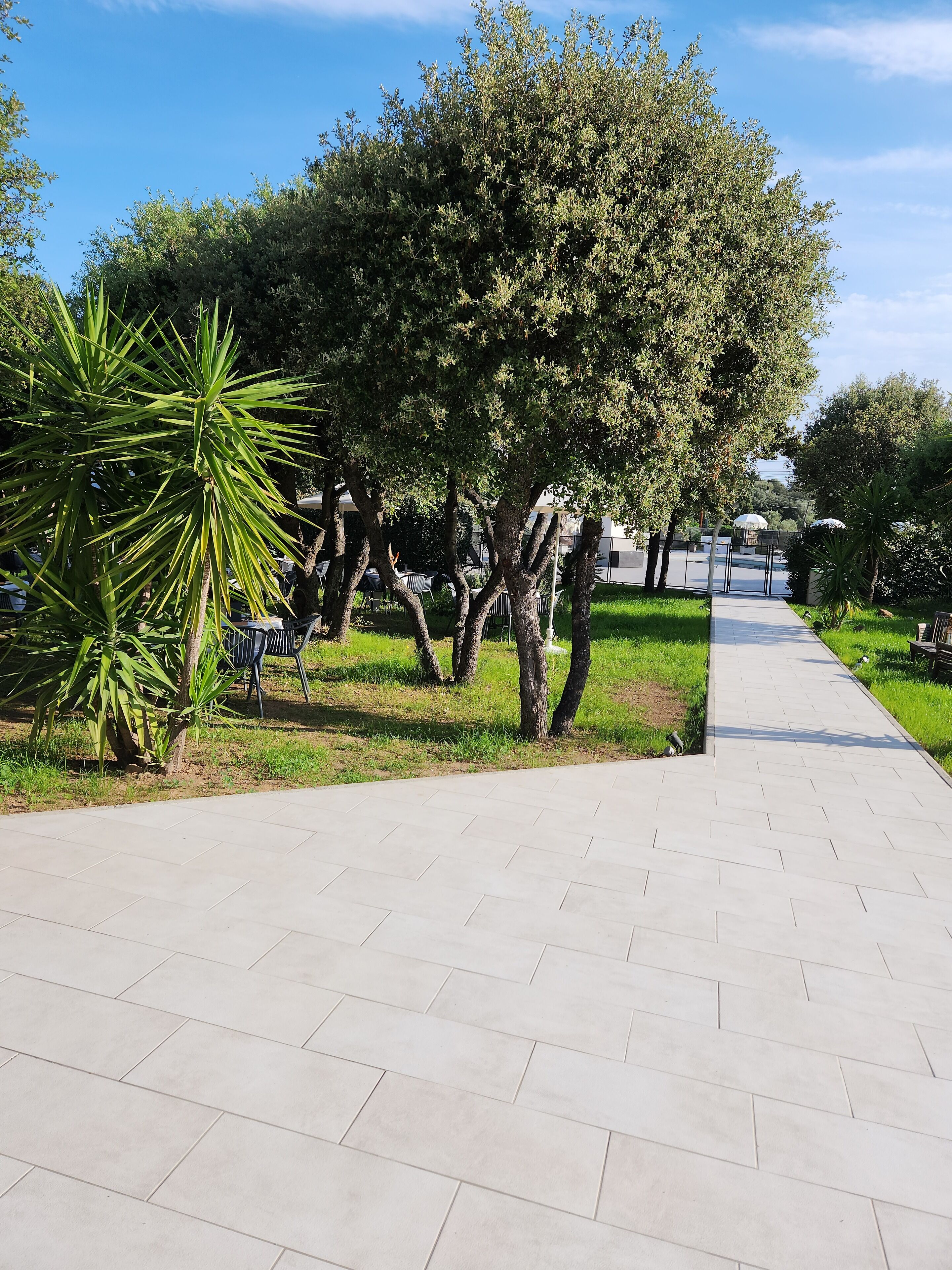 Ein gepflasterter Weg, gesäumt von Bäumen und Gras.