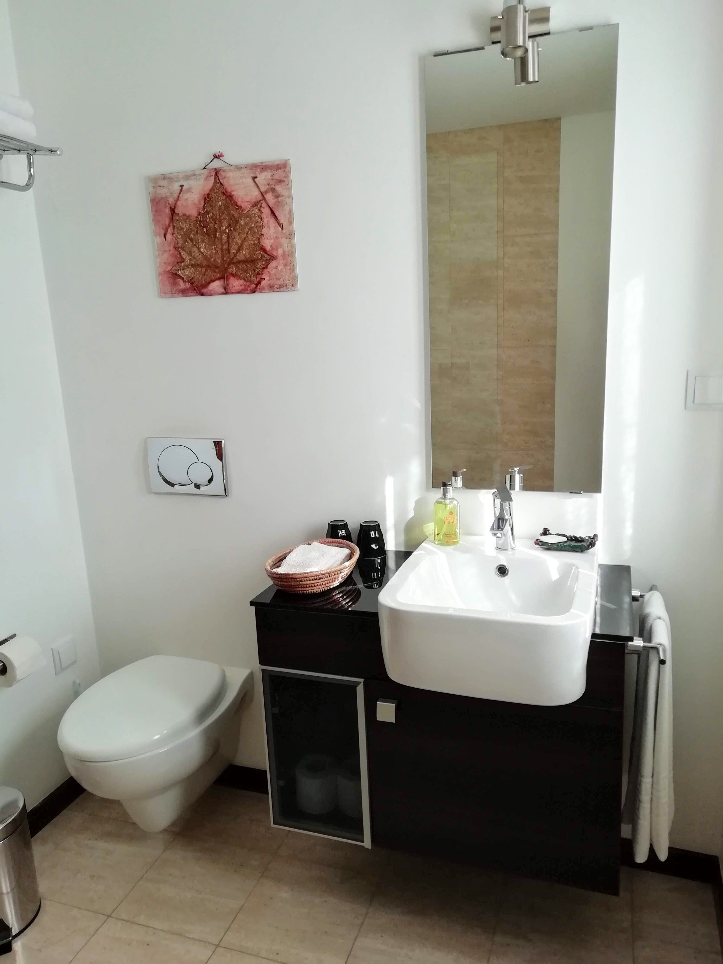 Un baño moderno con un lavabo blanco, tocador negro y un inodoro. Se observa una obra de arte con forma de hoja decorativa en la pared y una pequeña foto enmarcada.