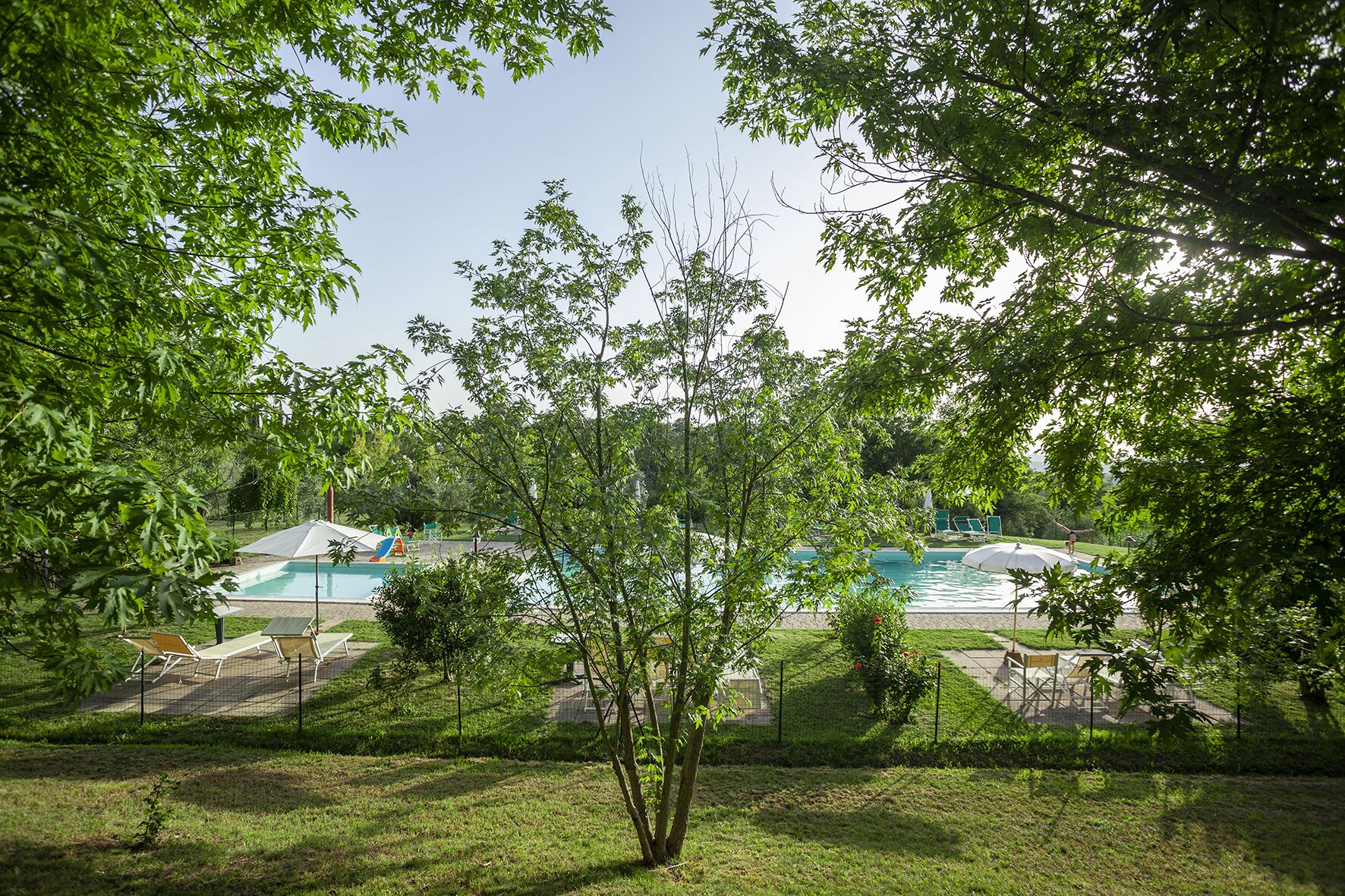 A pool area with lounge chairs and umbrellas, surrounded by trees.