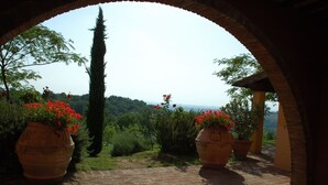 Un arco de entrada conduce a un jardín con macetas de terracota y flores rojas.