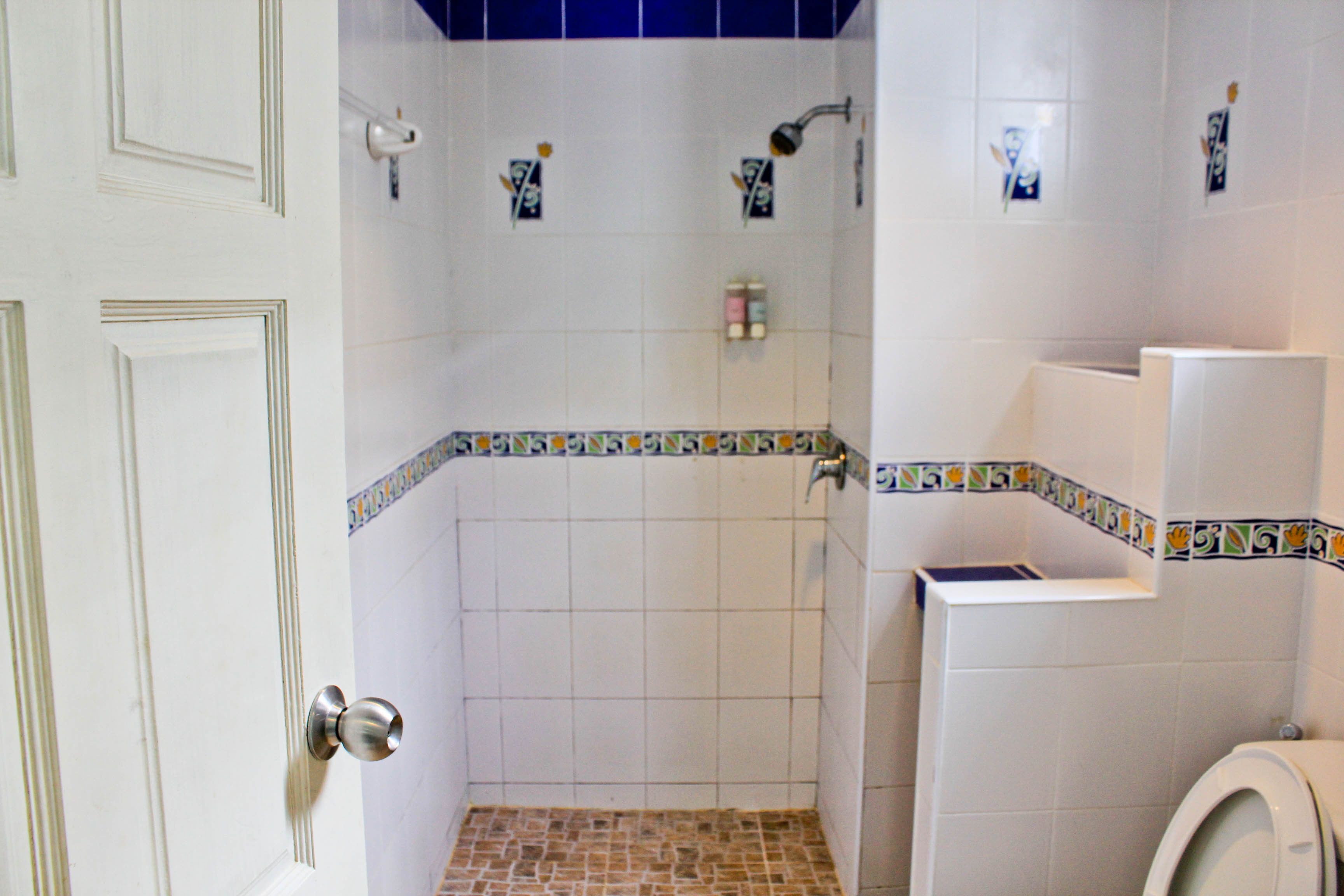 A bathroom with a shower, toilet, and a door.