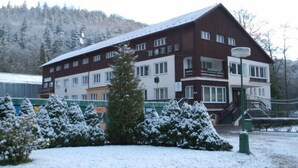 Unclassified image, 5 of 21, button - Gejzir (Karlovy Vary)