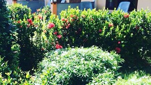 A covered outdoor area with a row of chairs and a well-maintained garden with red flowers. - Phu Lanta Life (Ko Lanta)