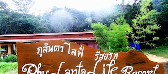 Phu Lanta Life