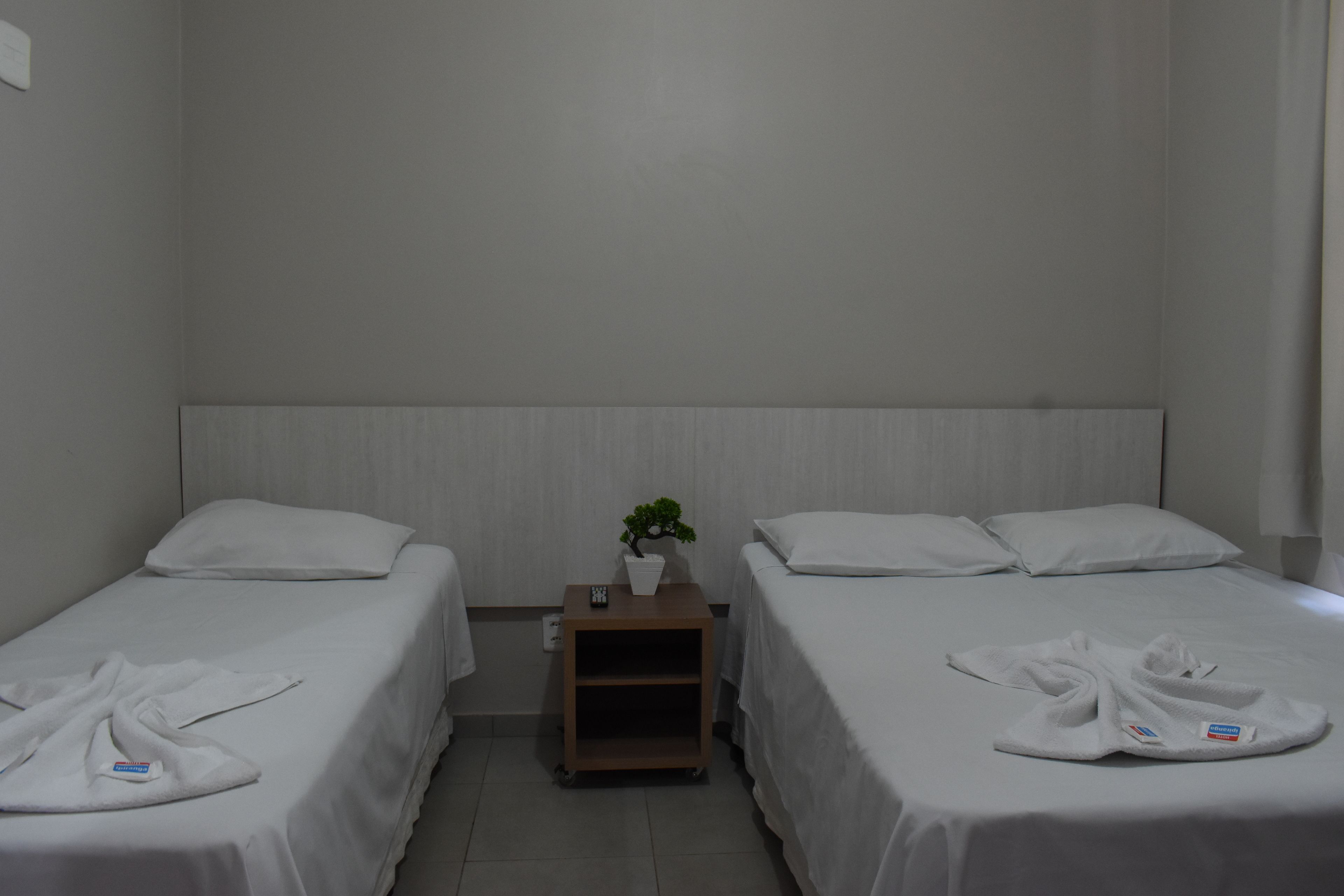 A hotel room with two single beds, a small wooden nightstand with a plant, and a white towel on each bed.