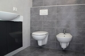 Shower, hair dryer, bidet, towels