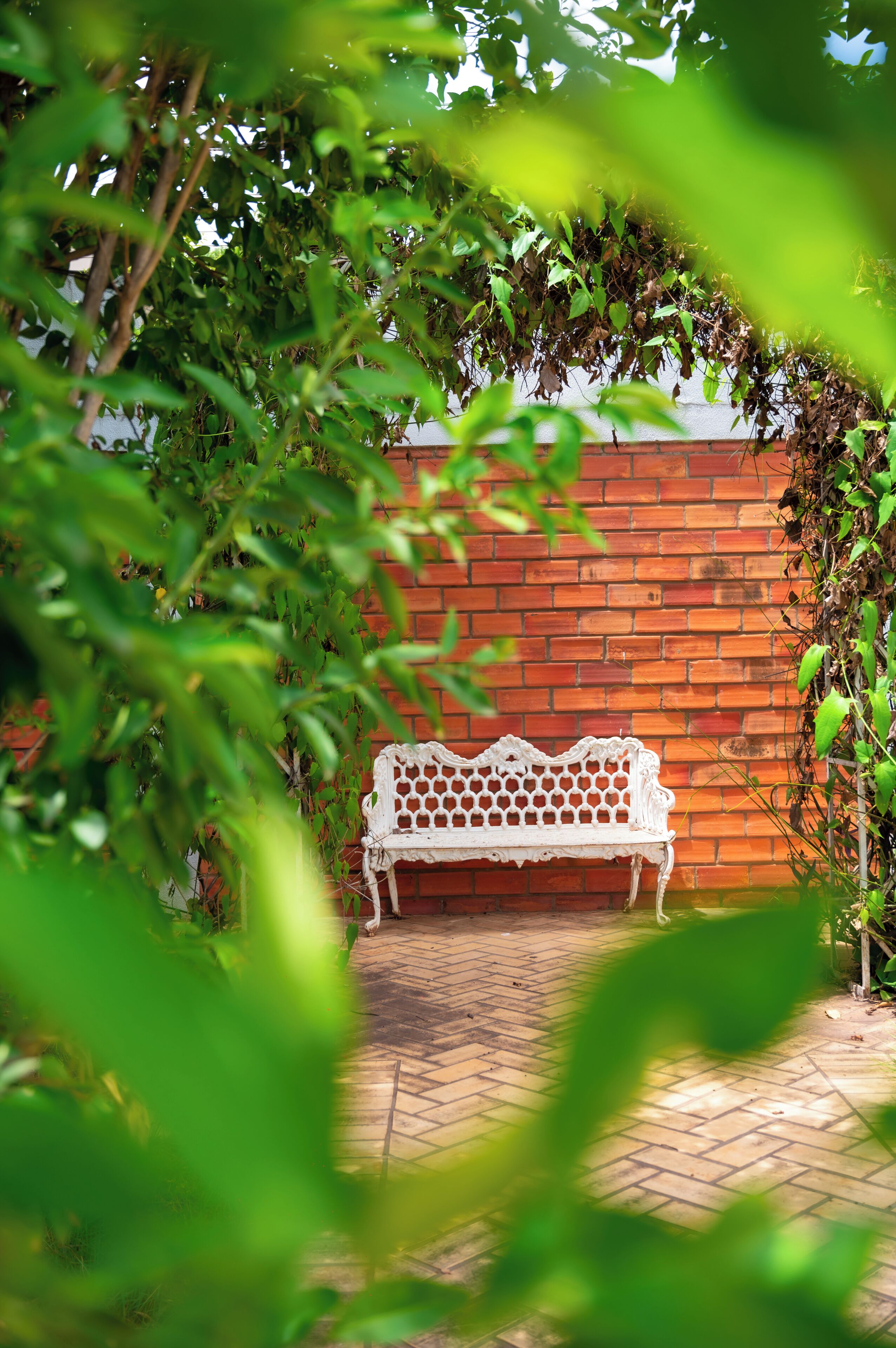 Um banco branco em área de jardim com parede de tijolos e vegetação.