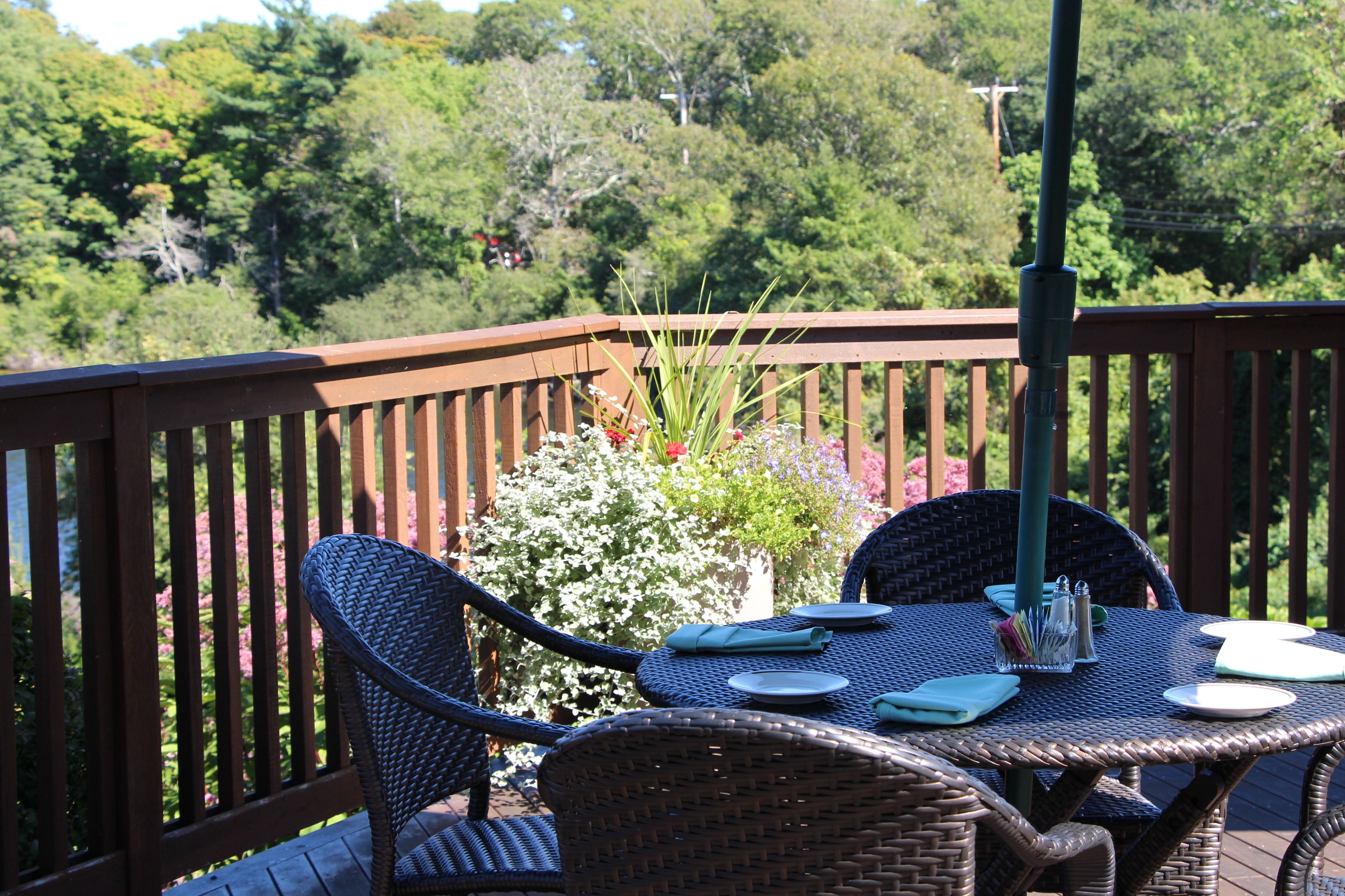 Se sirven comidas, cenas, brunch y cocina americana 