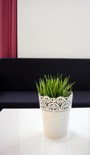 Recepción