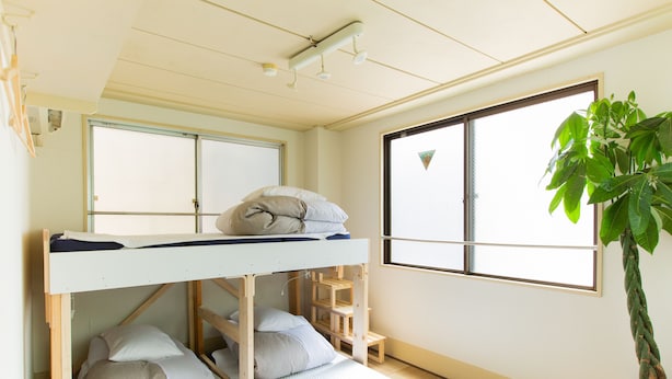 A bunk bed room with a window, a plant, and a ladder.