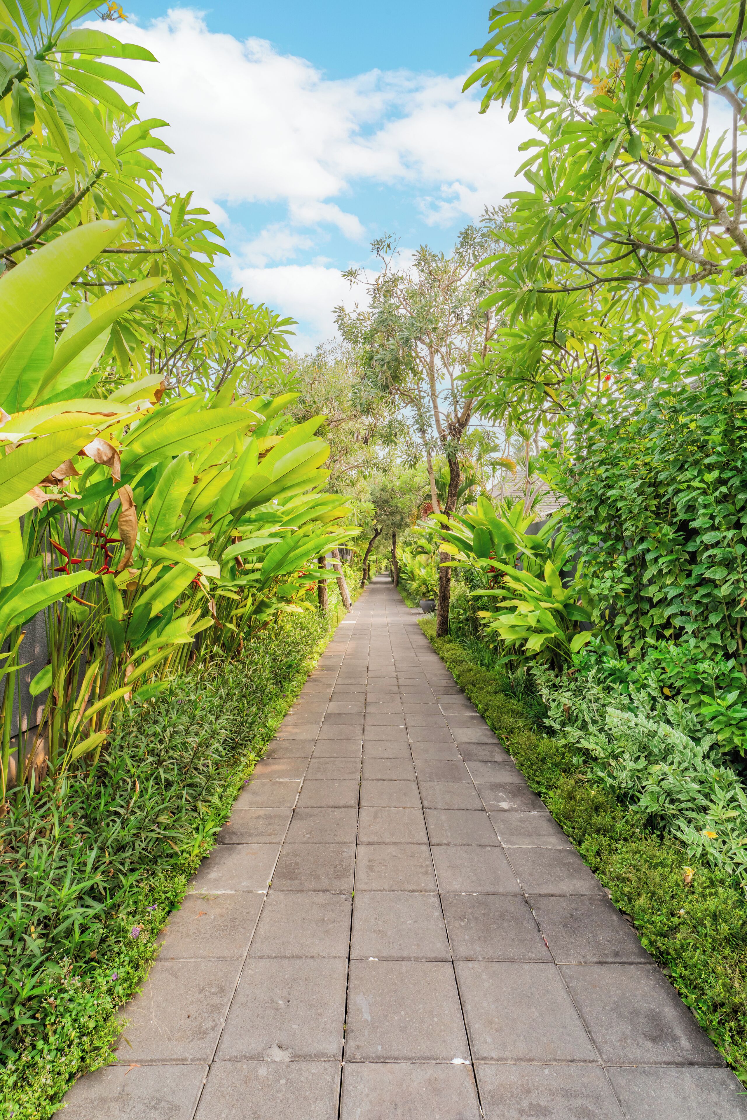 Foto - Javana Royal Villas