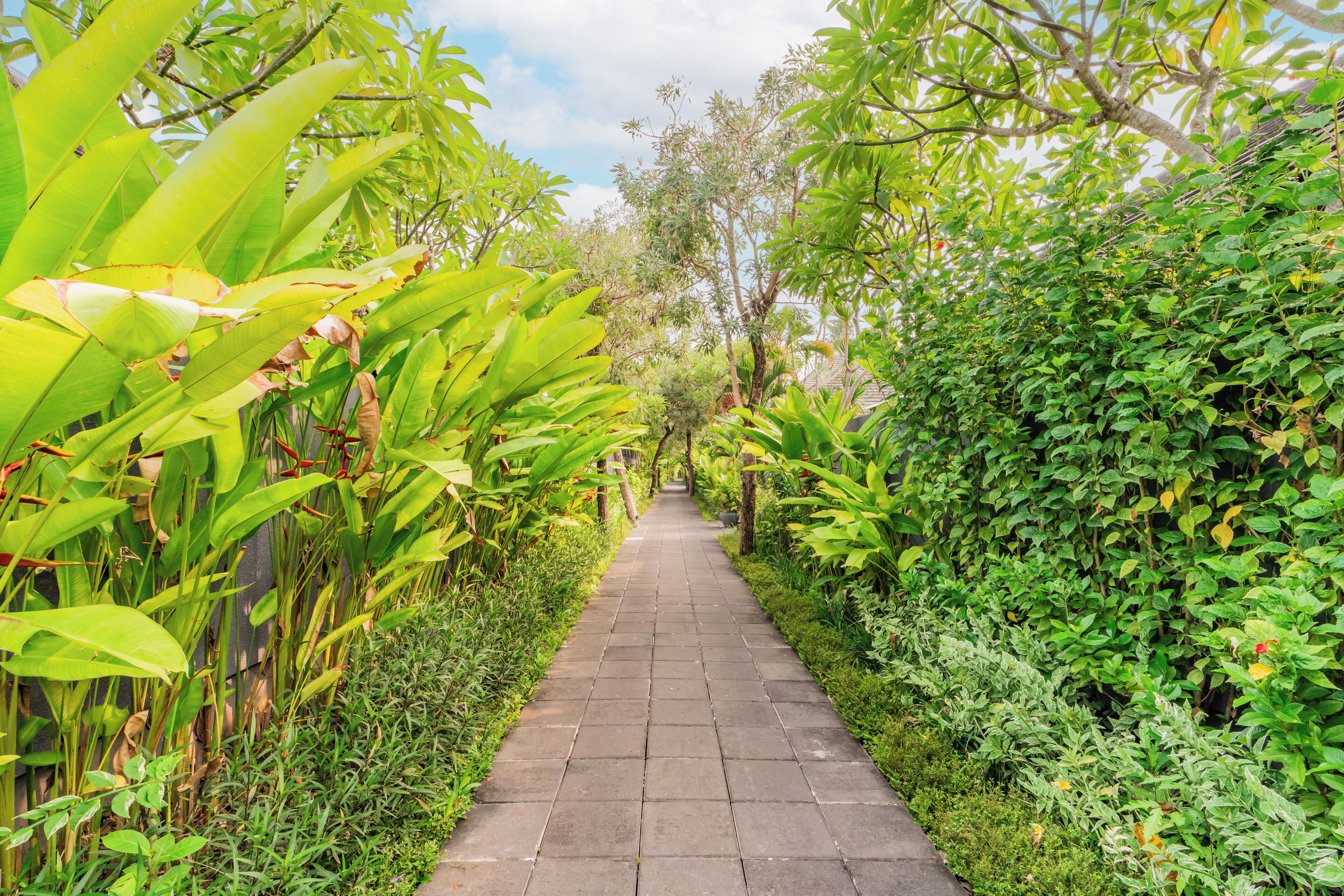 Foto - Javana Royal Villas