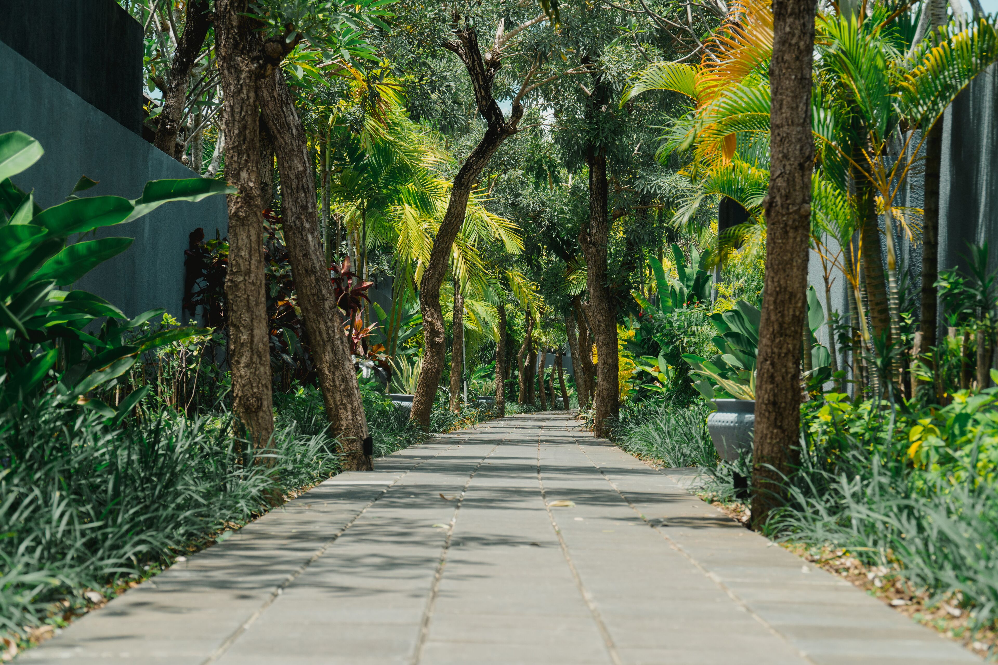 Foto - Javana Royal Villas