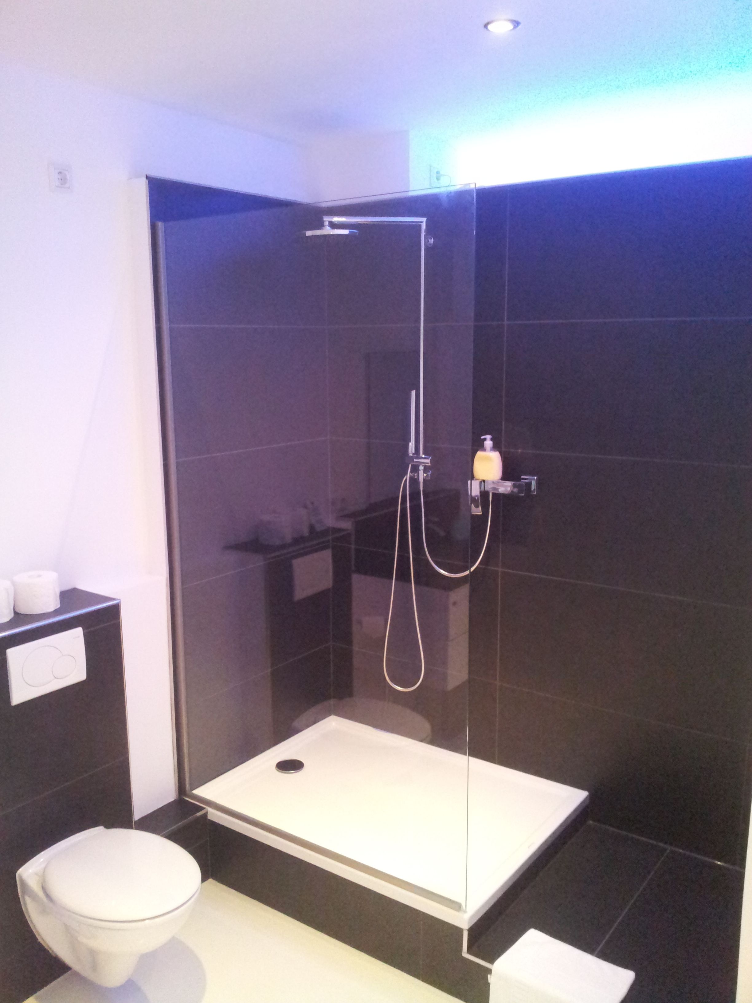 deluxe single room | bathroom | shower, rainfall showerhead, hair dryer, towels