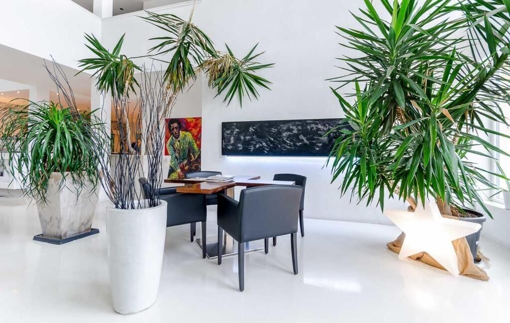 40-inch led tv with satellite channels, tv