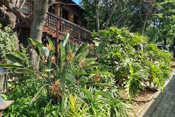 Deluxe Single / Twin Room | Utsikt fra rommet