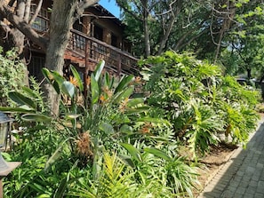 Deluxe Single / Twin Room | Vue de la chambre