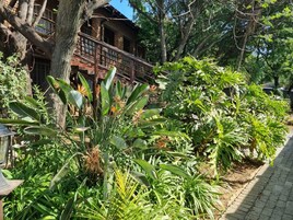 Vista desde la habitación