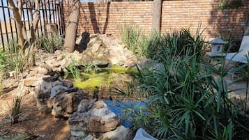 Vườn