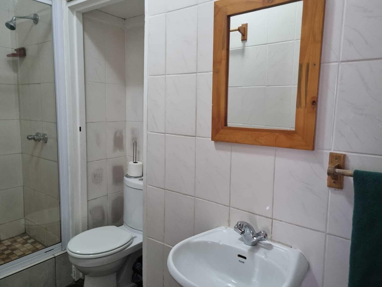 Un baño con inodoro, lavamanos y ducha.