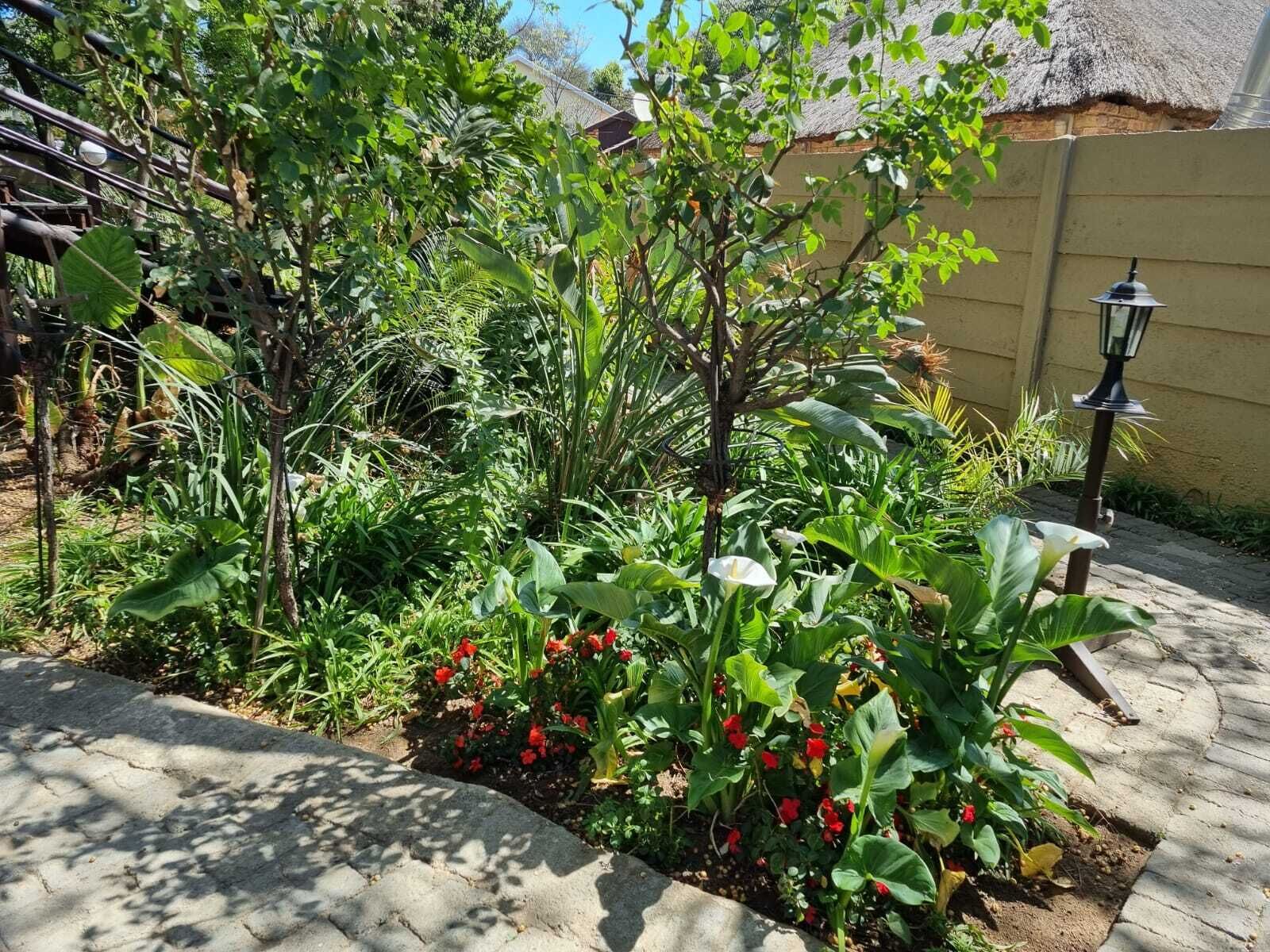 Taman