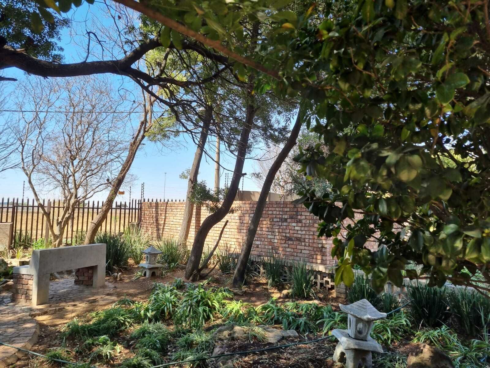 A garden with a brick wall, a stone bench, and various plants.