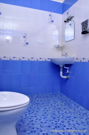 Ducha, secador de pelo, toallas
