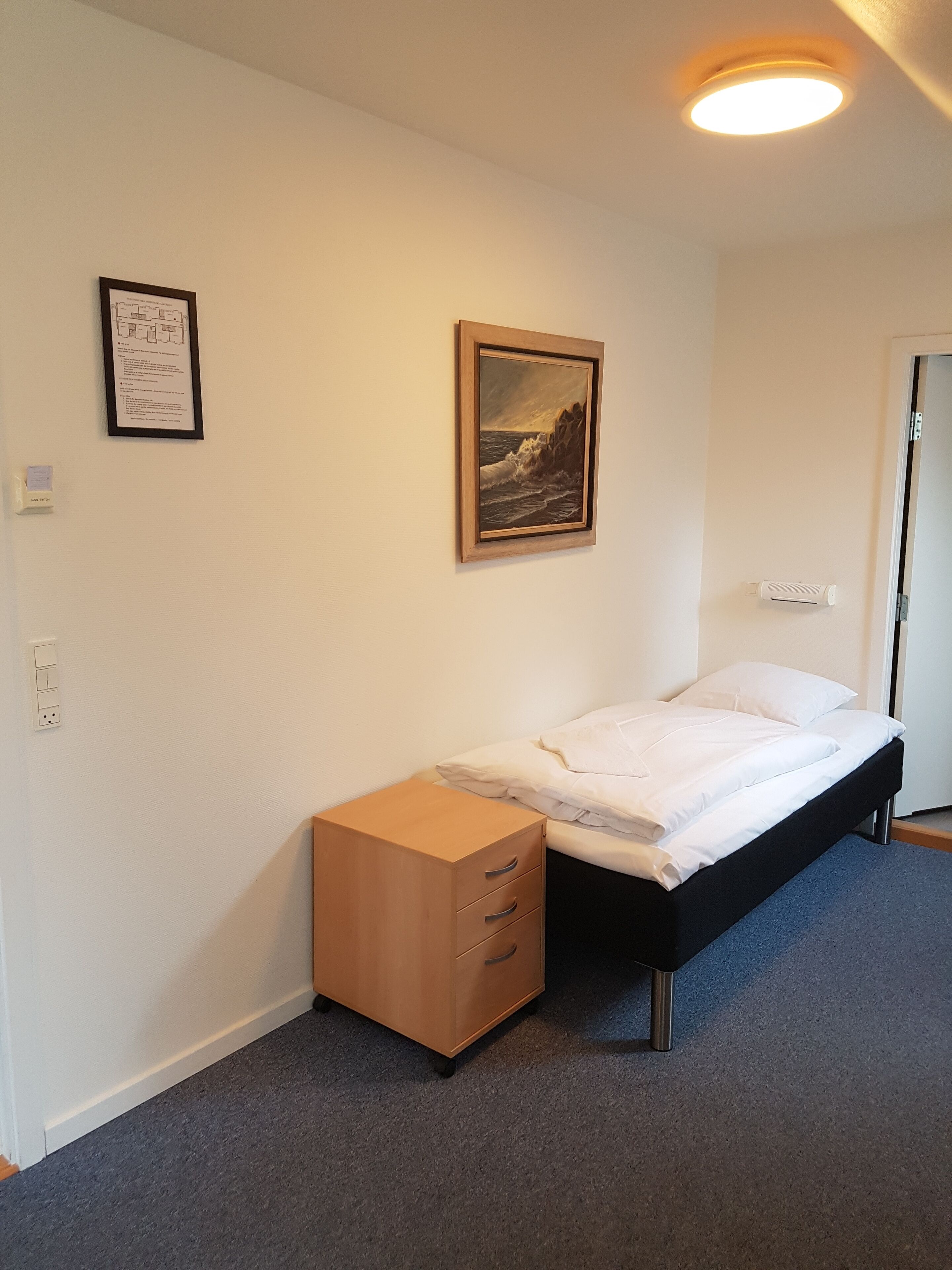 A bedroom with a bed, a nightstand, a framed picture, and a ceiling light.