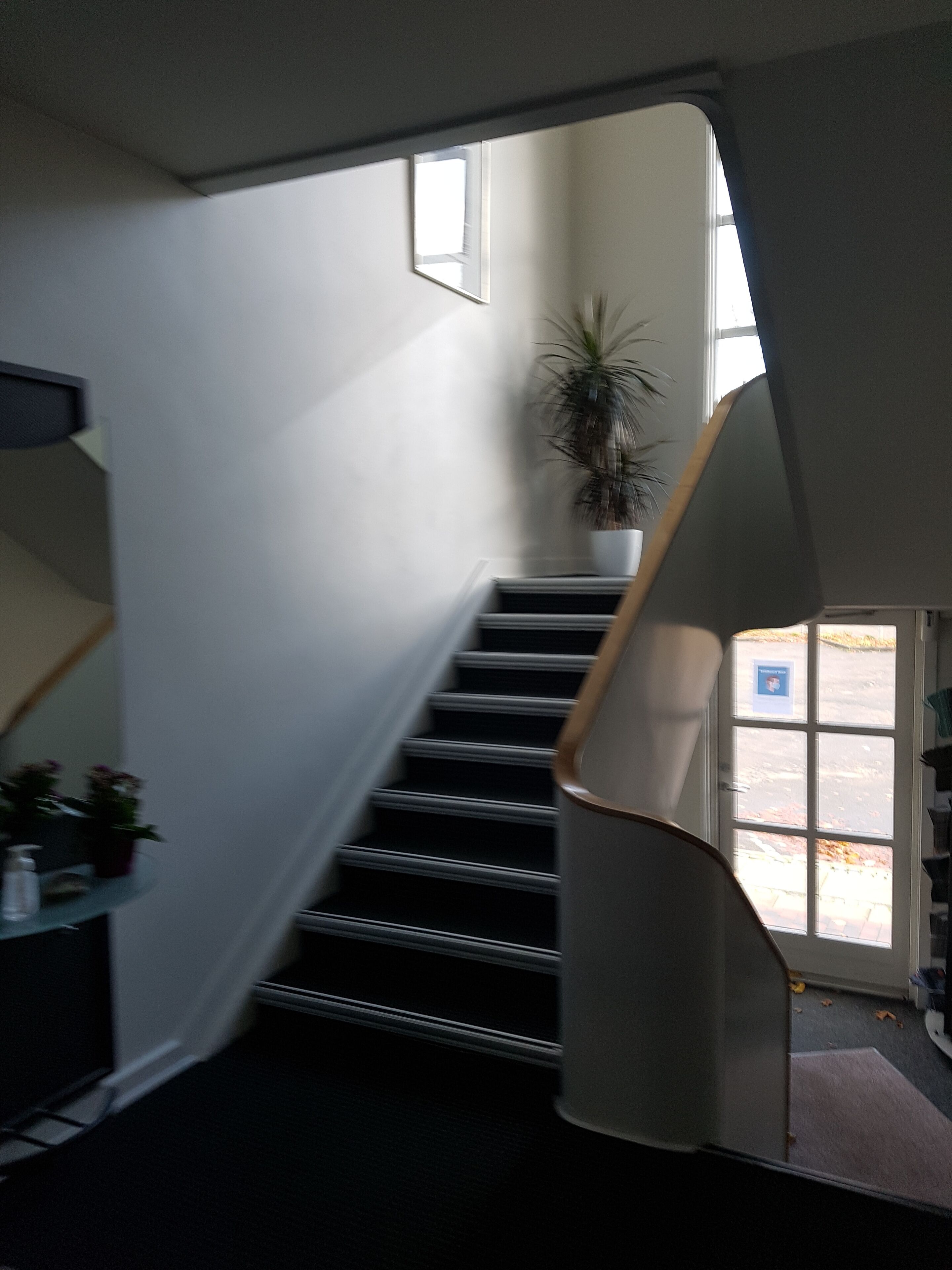 A staircase with a handrail, a potted plant, and a door leading outside.