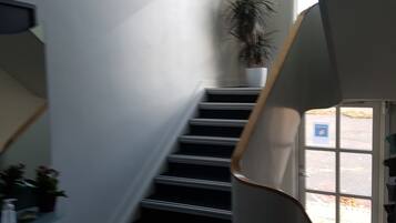 A staircase with a handrail, a potted plant, and a door leading outside.