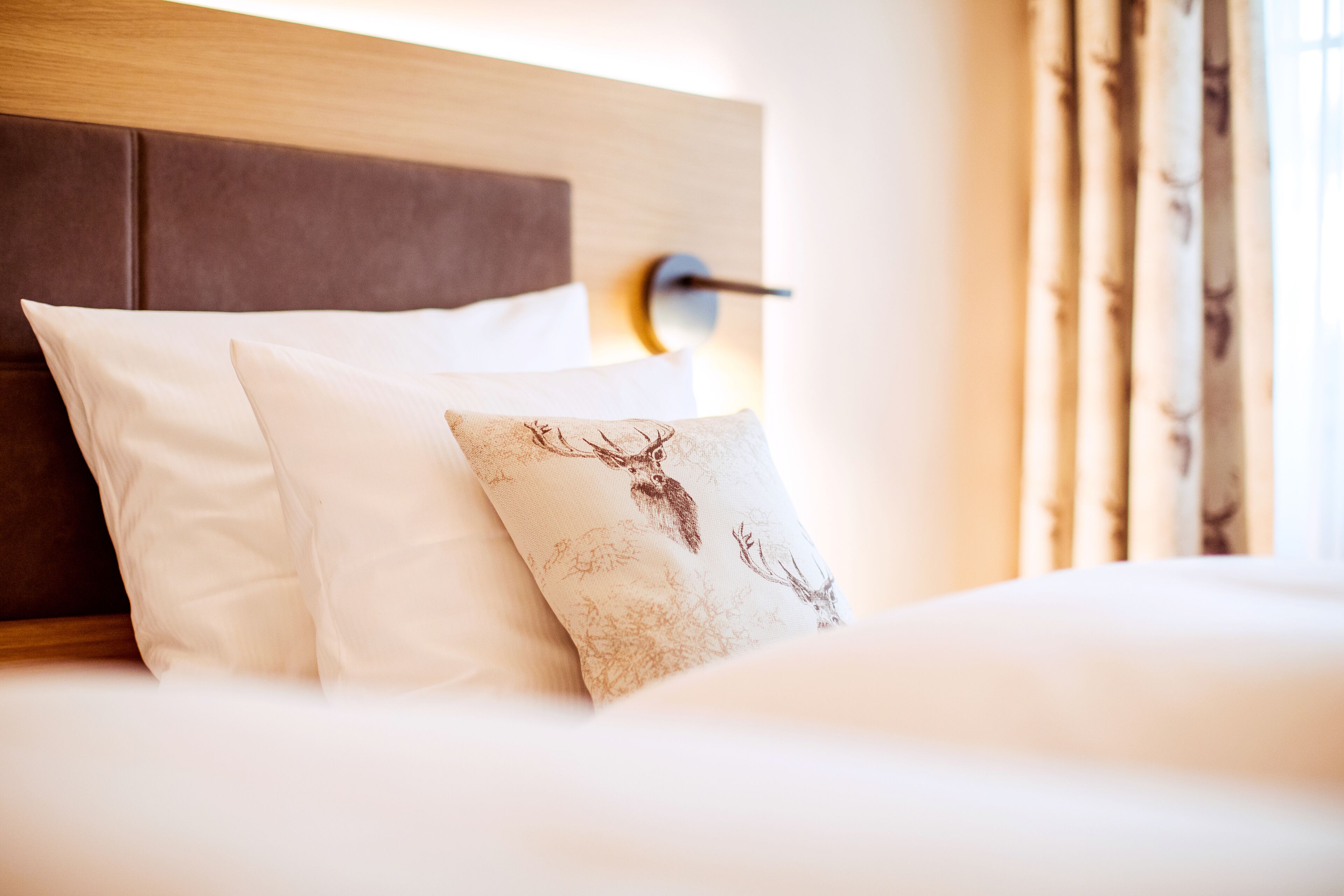 room | view from room