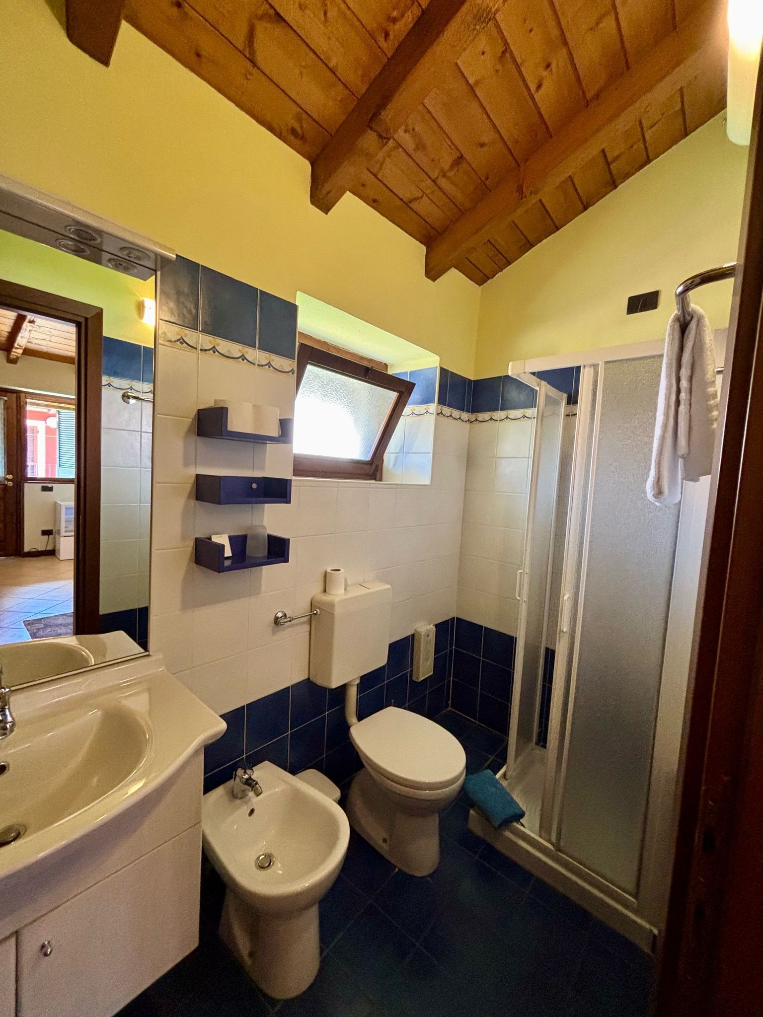 Eenpersoonskamer | Badkamer | Een douche, een haardroger, een bidet