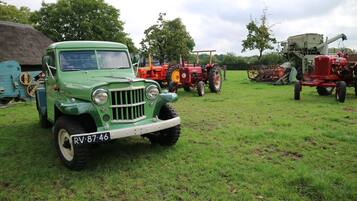 A green vintage car with a license plate RV-87-46 parked in a grassy field.