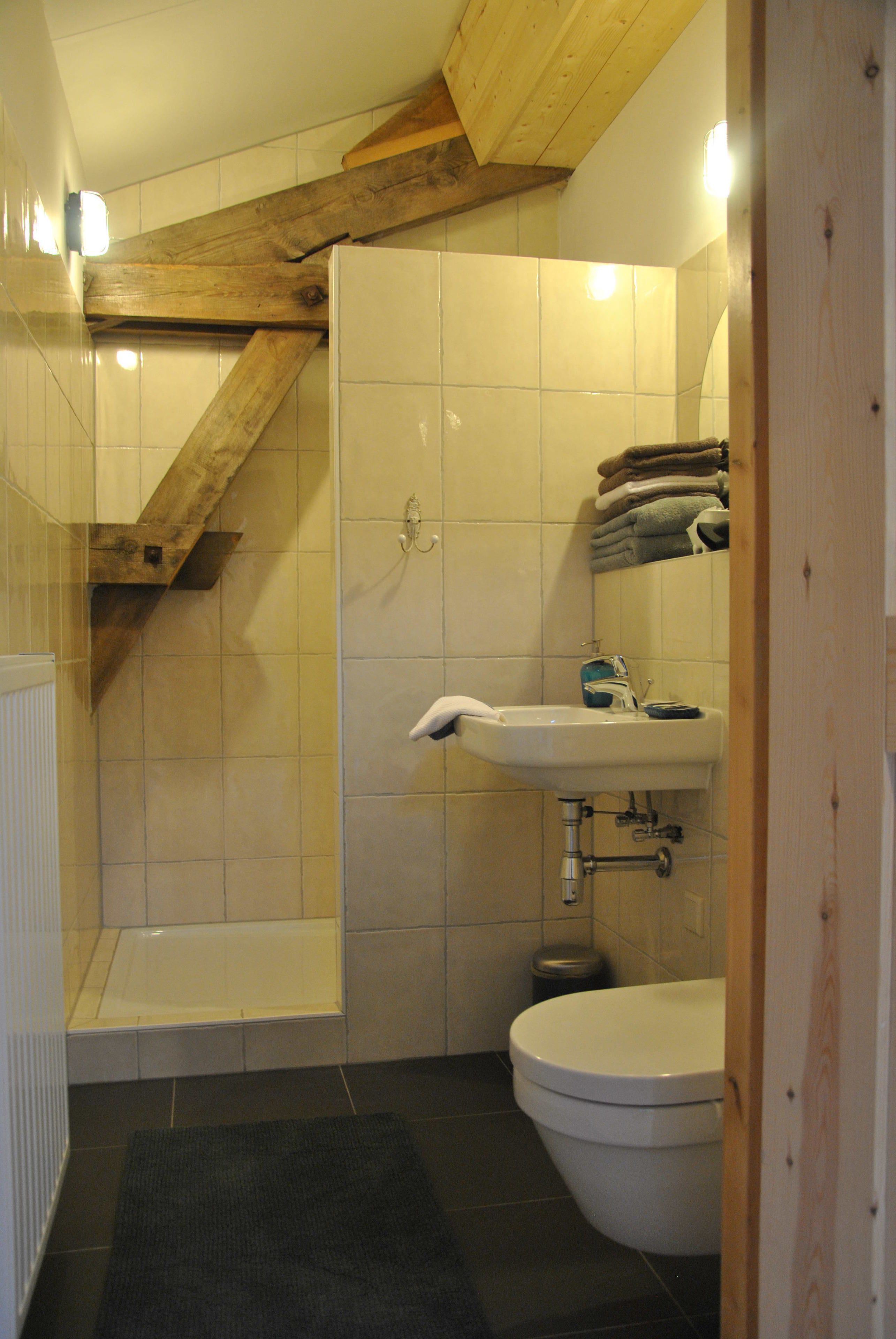 Een badkamer met een witte wastafel, toilet en douche.