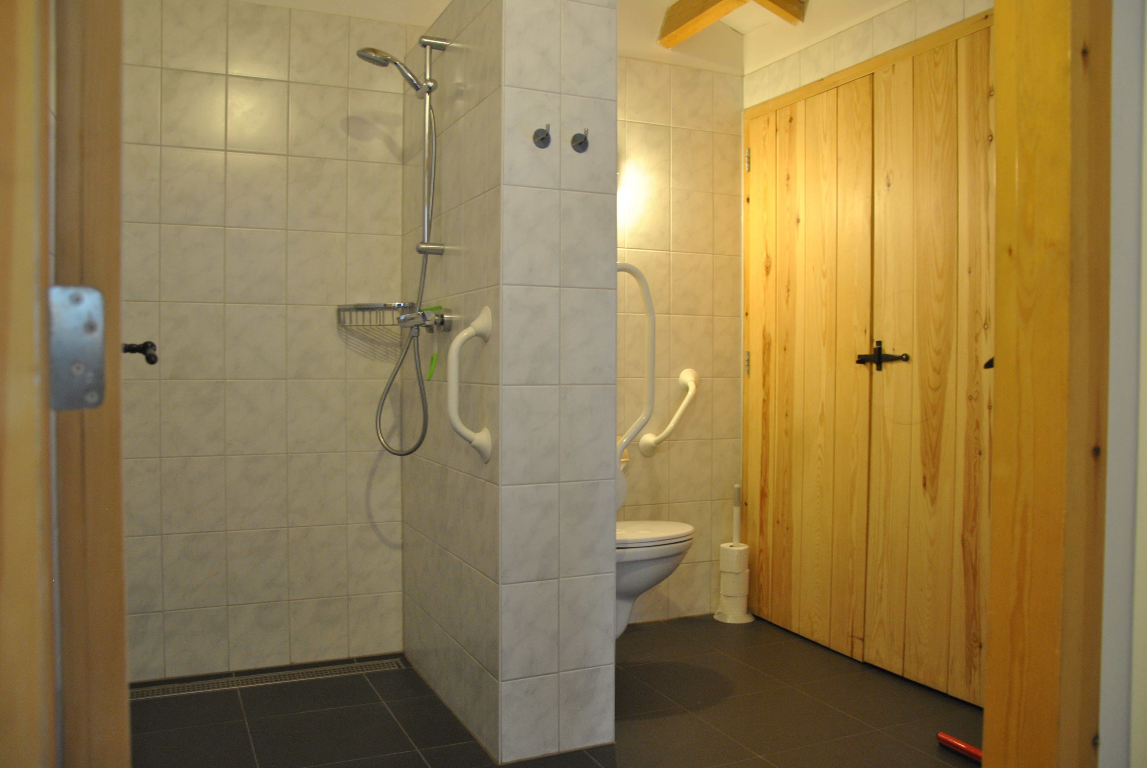 A bathroom with a shower, toilet, and wooden door.