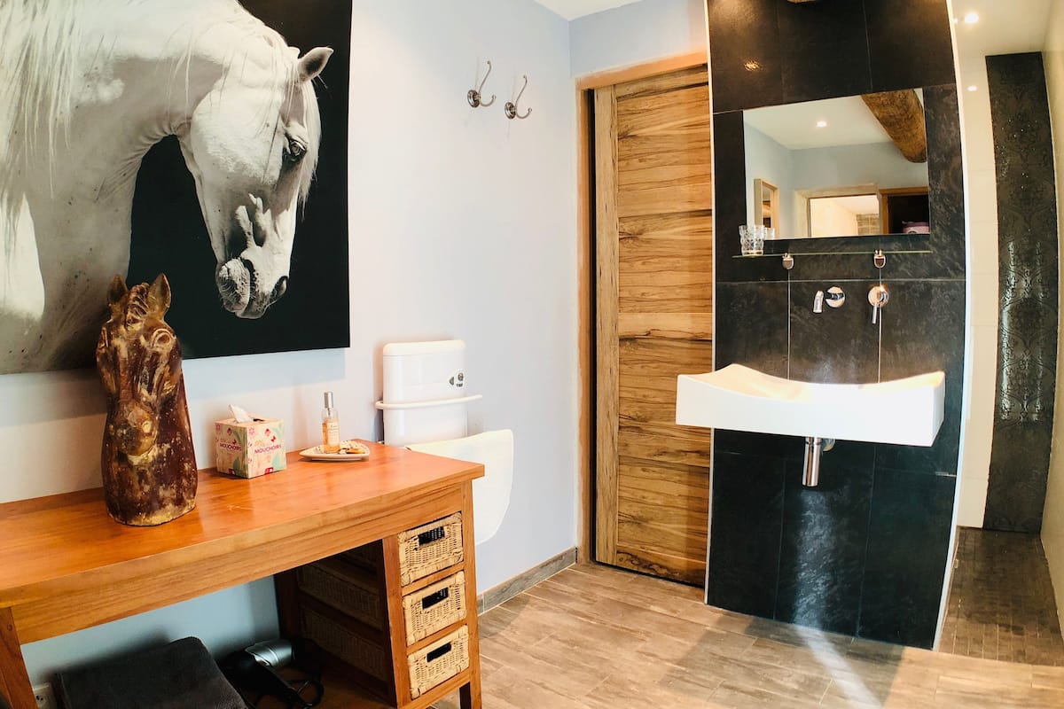 Chambre Standard double | Salle de bain | Douche