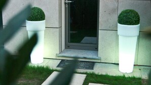A modern building entrance with a glass door, two illuminated planters with spherical topiary, and a concrete pathway leading to the door. - Experience Design Bed & Show (Milan)