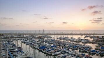 Un puerto deportivo con varias embarcaciones amarradas al muelle.