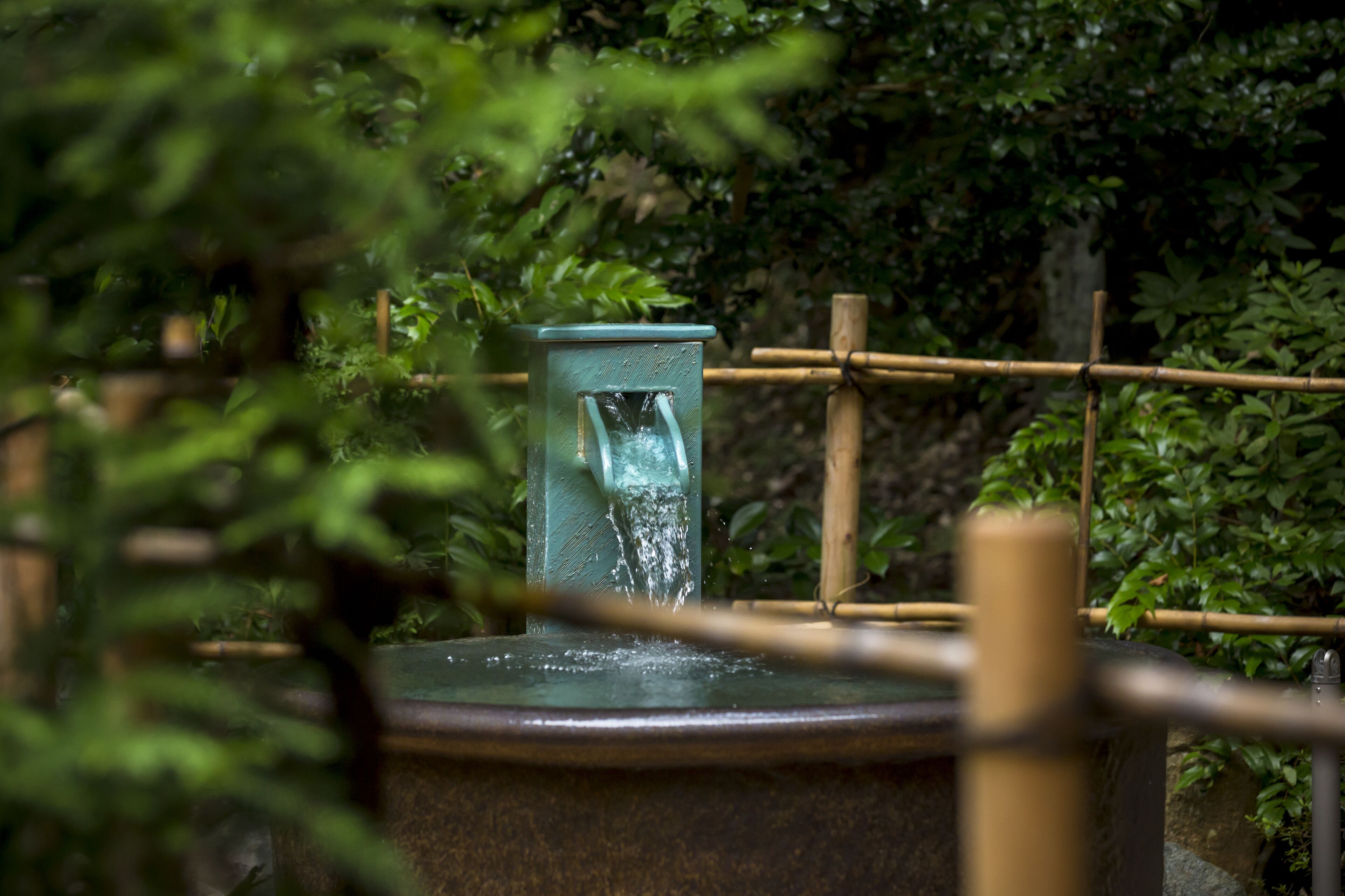 A water feature with a bamboo structure and a green container, surrounded by lush greenery.