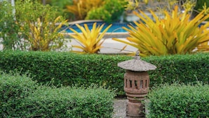 Un jardín bien cuidado con un farol de piedra, setos recortados y diversas plantas, incluyendo flores amarillas.