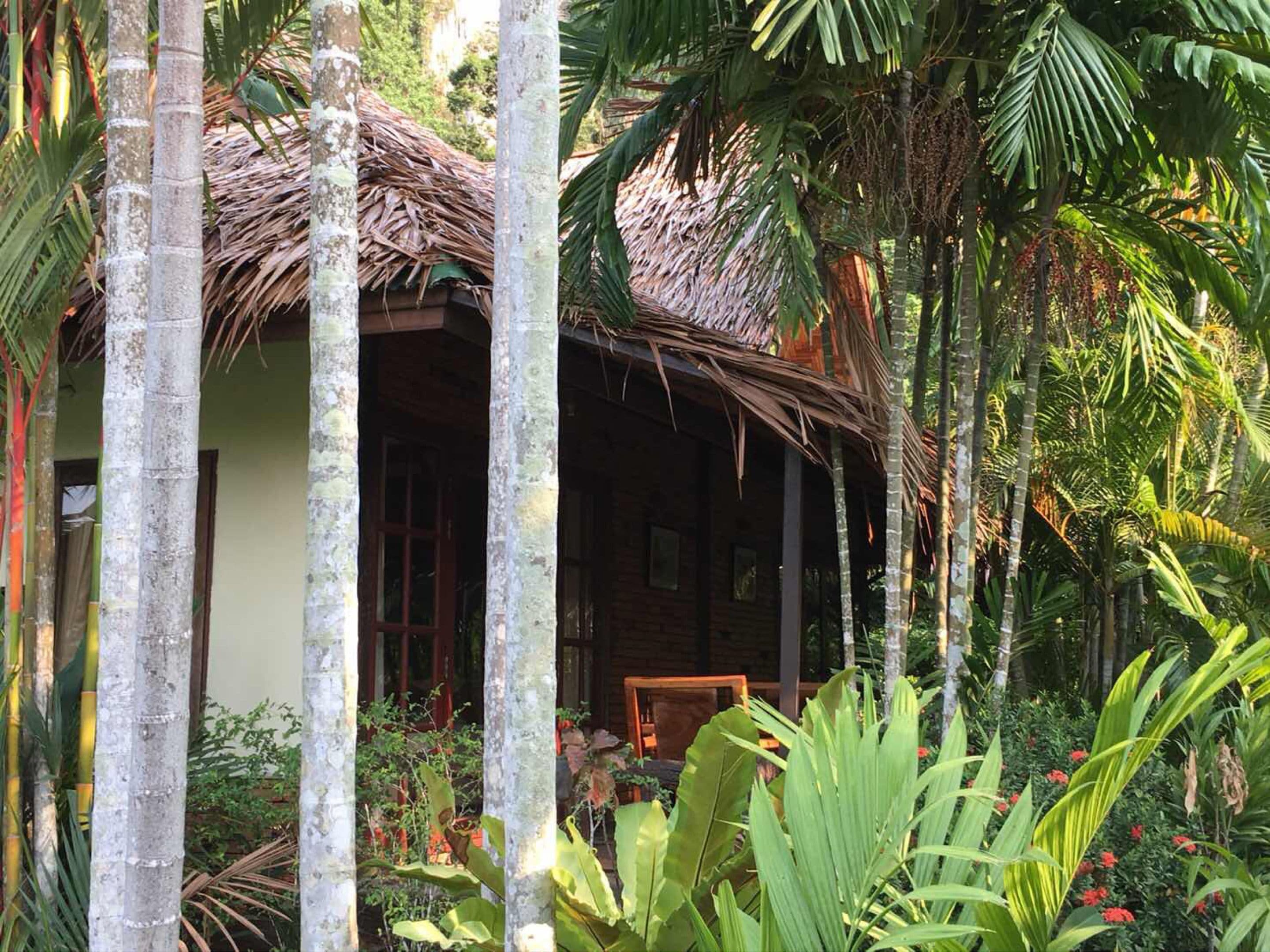 Ein traditionelles Haus mit einem Reetdach, umgeben von üppiger tropischer Vegetation.