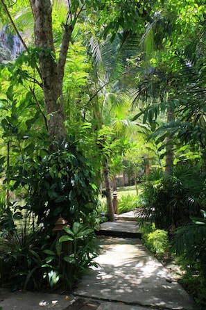 A pathway surrounded by lush greenery and trees. - Vipa Tropical Resort (Krabi)