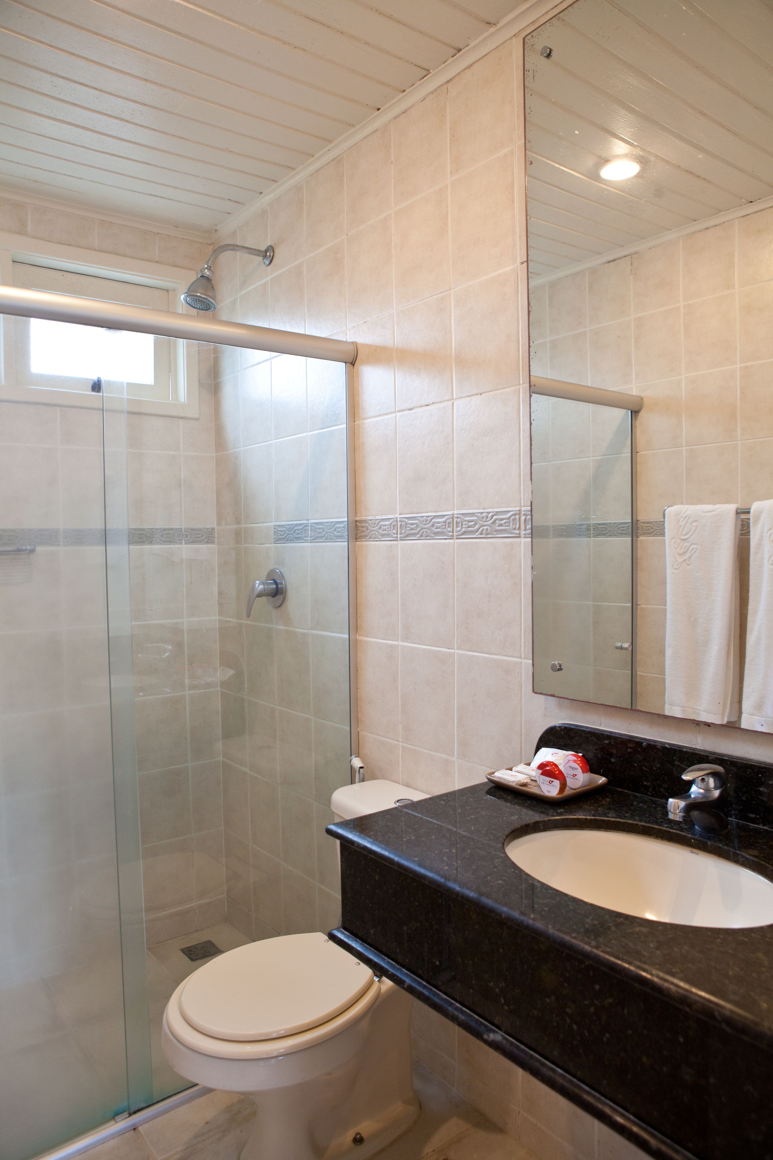 shower, free toiletries, hair dryer, towels