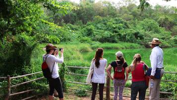 A group of people standing by a wooden fence overlooking a lush green landscape.