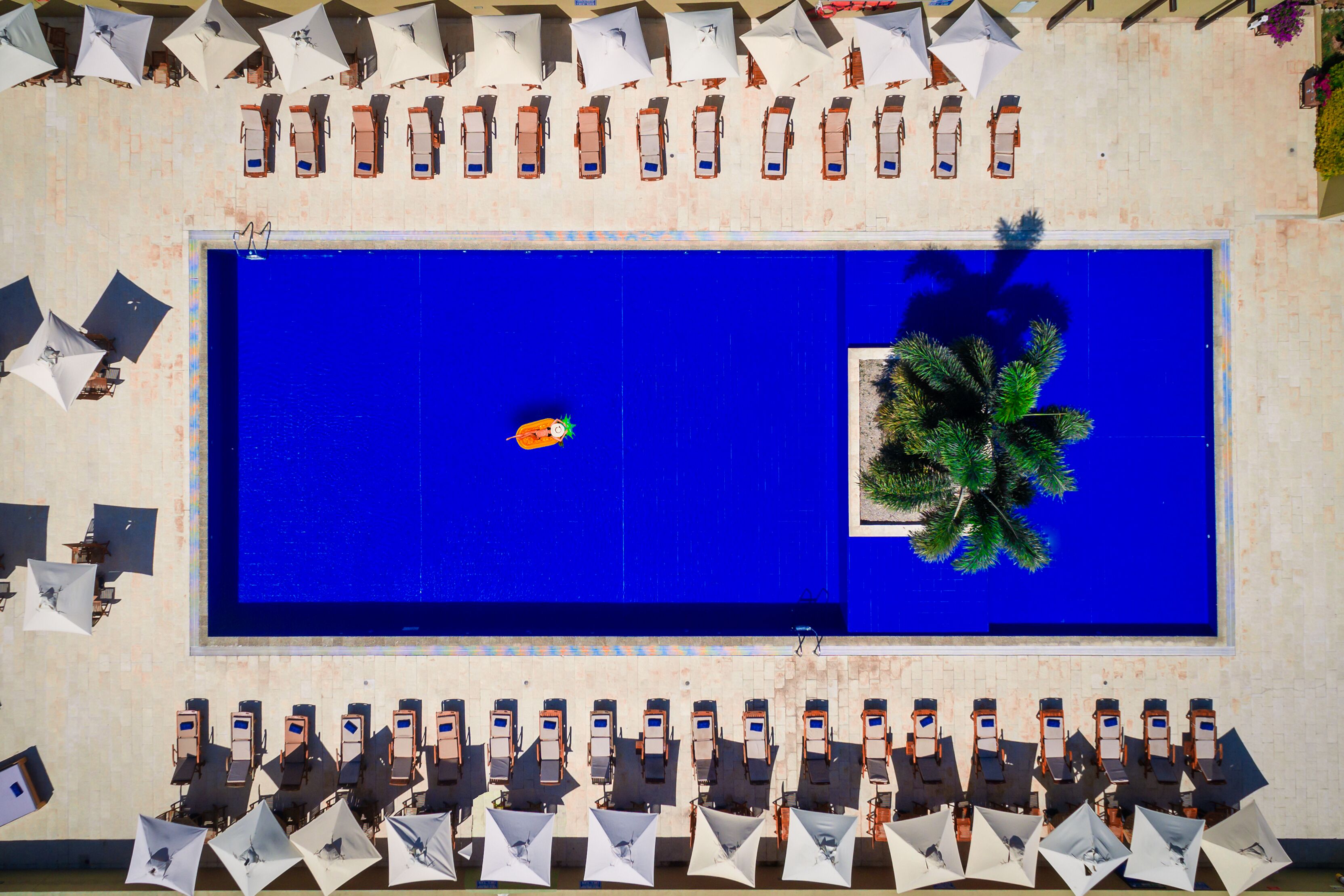 An aerial view of a swimming pool area with multiple lounge chairs and umbrellas arranged around it.